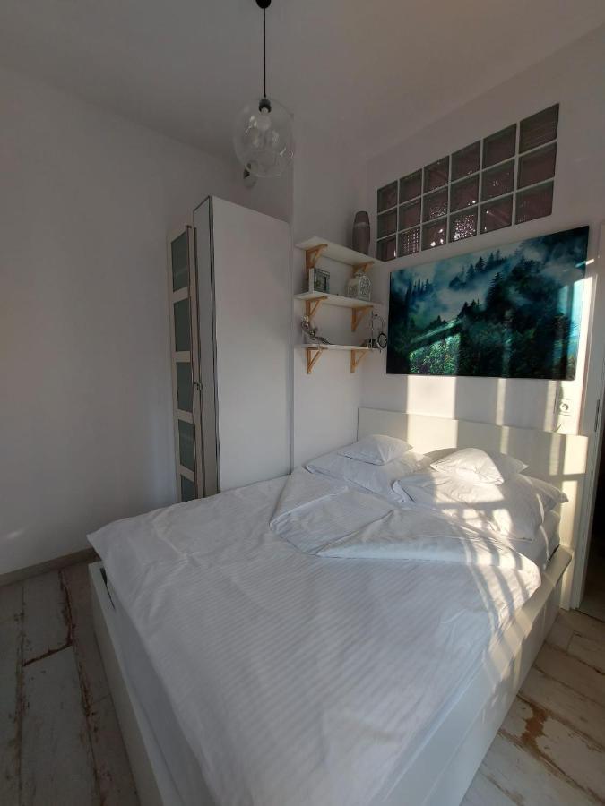 Apartment Ksiecia Witolda 43 弗罗茨瓦夫 外观 照片